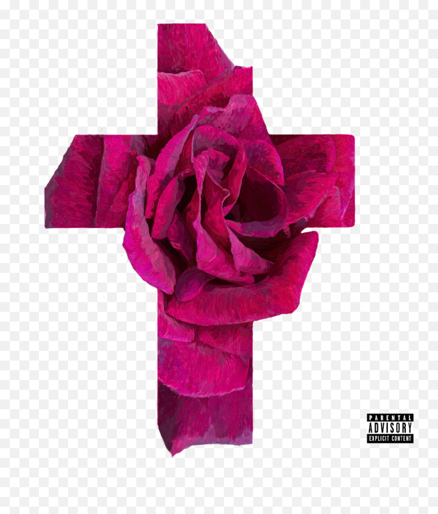 The Rose Collective - Garden Roses Emoji,Purple Emoji Spotify