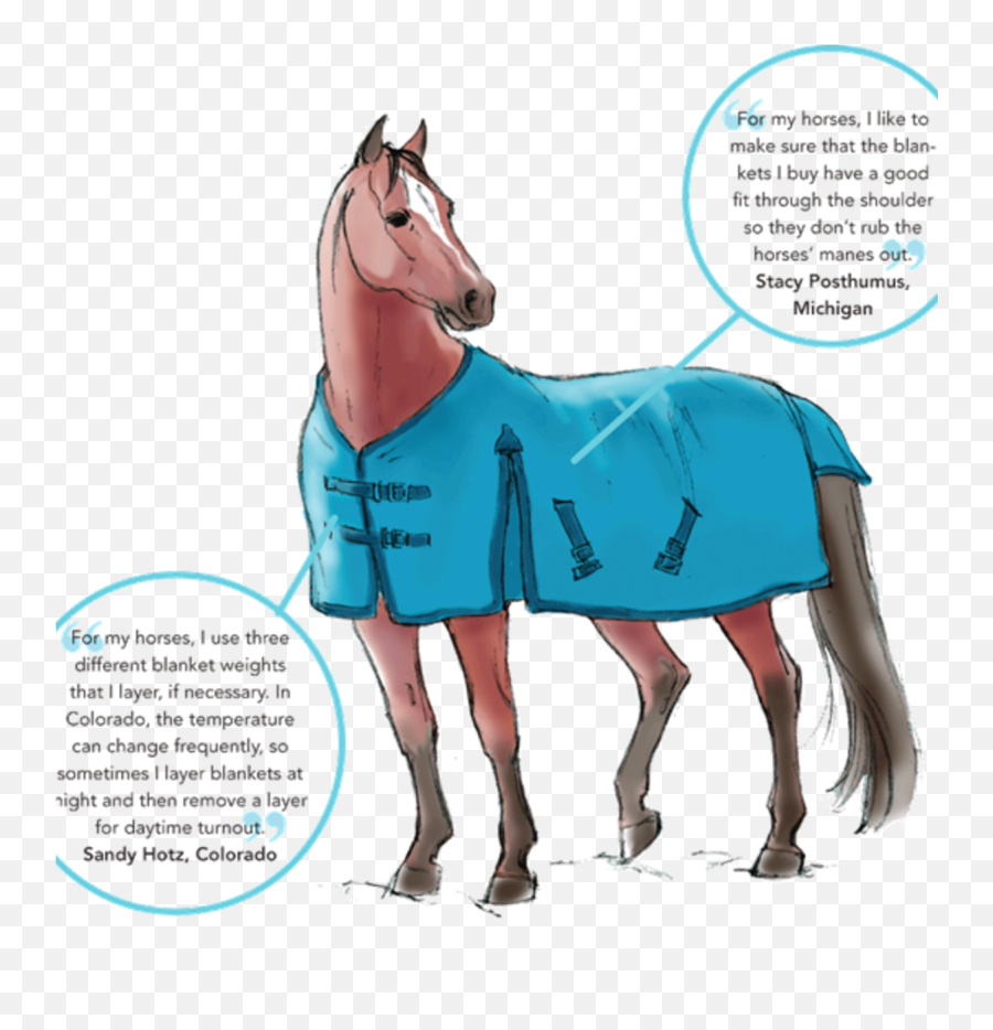 The Ultimate Winter Gear Guide - Horse Winter Gear Emoji,New Dressage Scribing Emojis
