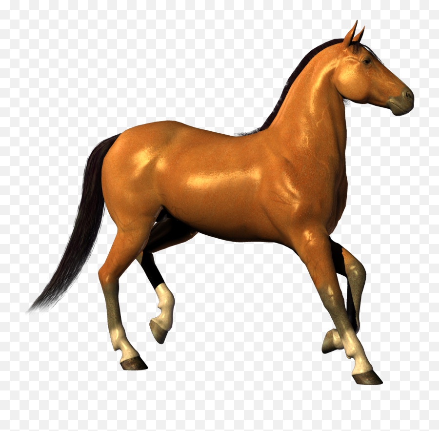 Horse Clip Art - Horse Png Image Png Download 10701003 Horse Png Transparent Clipart Emoji,Hand Horse Horse Emoji