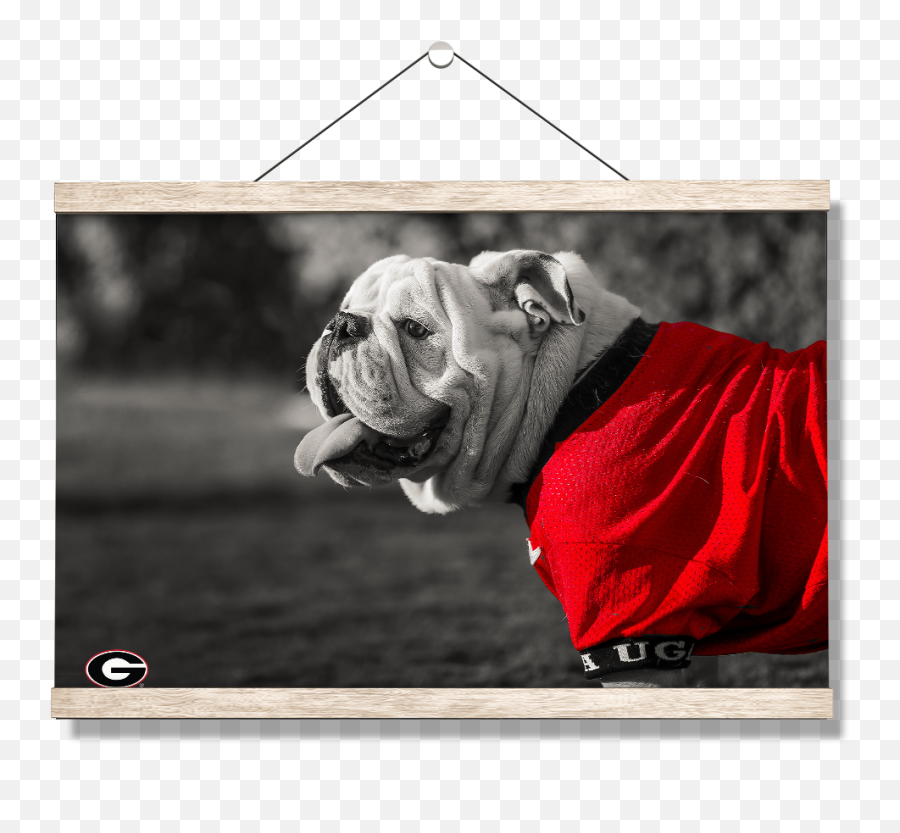 Georgia Bulldogs - Uga Poised Emoji,Shar Pei Emoticon