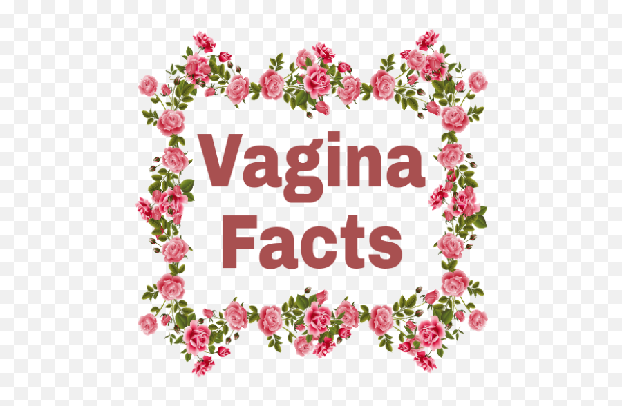 Vagina Facts Para Android - Apk Descargar Vector Emoji,What Is The Emoji For Vagina