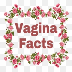 Vagina Facts Para Android - Apk Descargar Vector Emoji,What Is The Emoji For Vagina