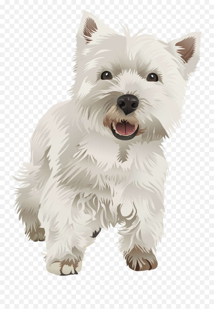West Highland Terrier Png U0026 Free West Highland Terrierpng - West Highland Terriers Png Emoji,Scottie Dog Emoji