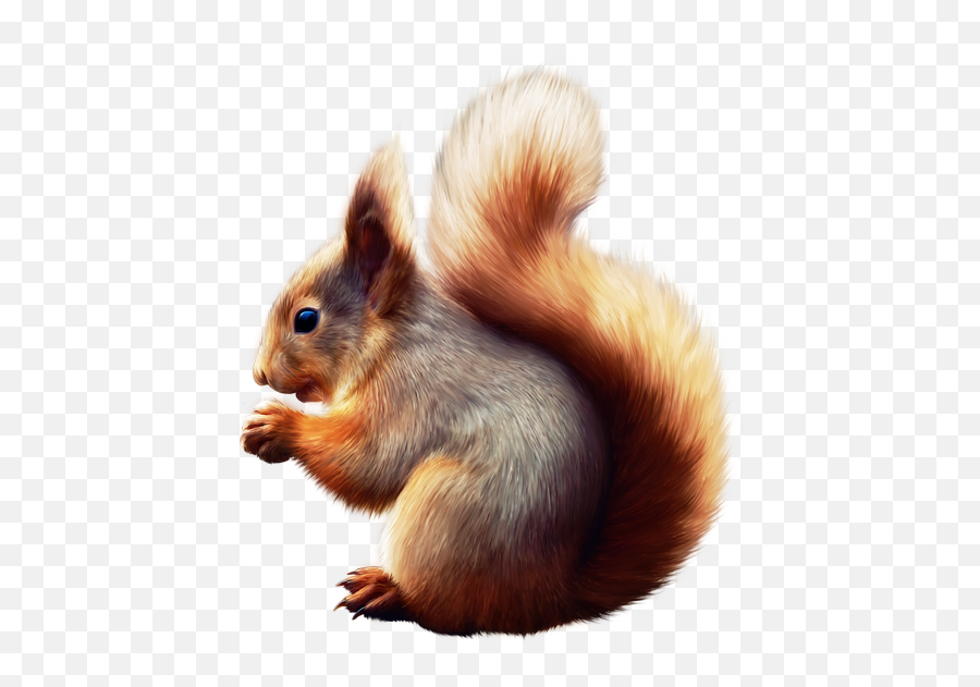 Discover Trending Emoji,Red Squirrel Emoji