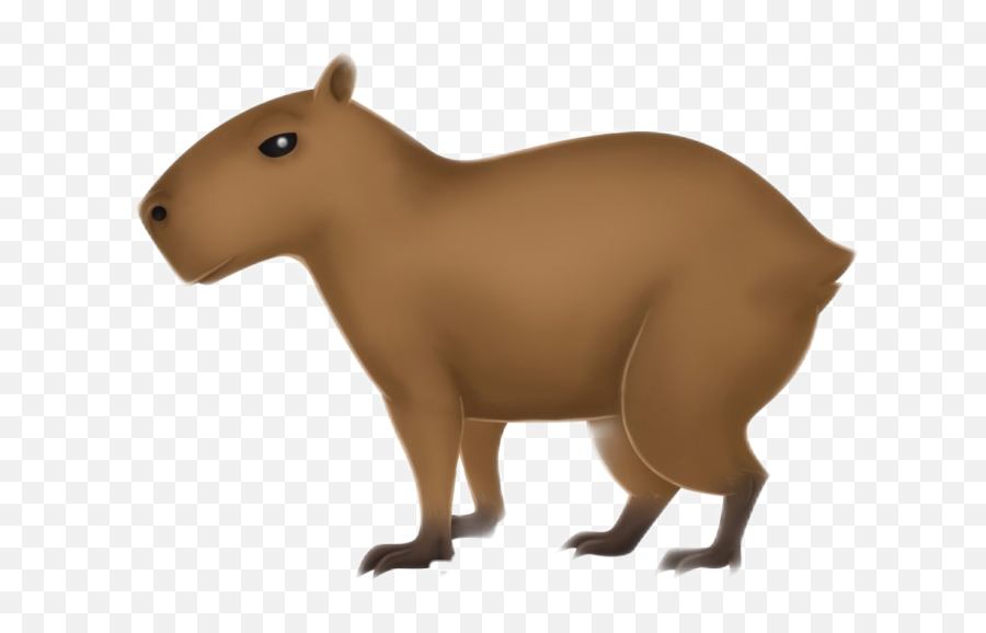 Capivara Sticker - Imagens De Capivara Em Desenho Emoji,Capybara Emoji