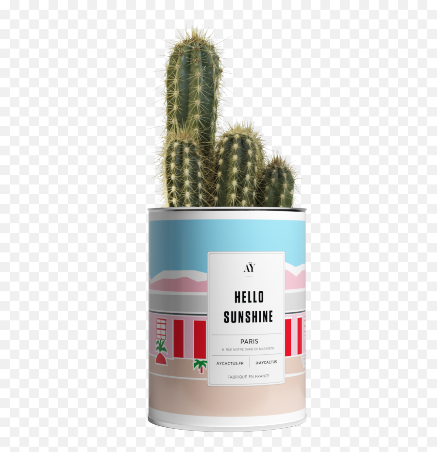 Hello Sunshine - Cylinder Emoji,Cactus Emojis