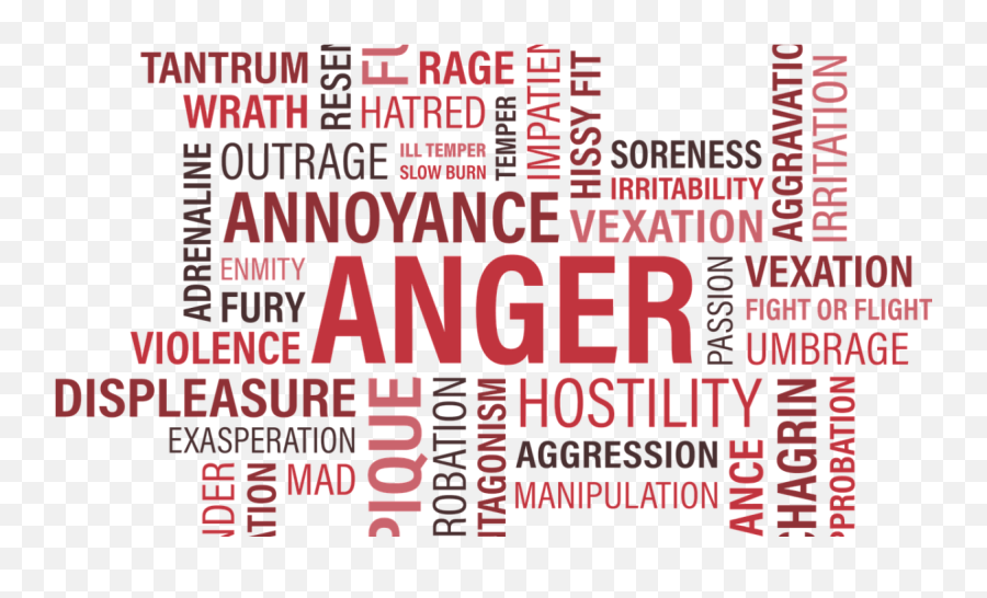 Anger Can Be Managed - Human Body In Health Emoji,Control Emotions Quotes