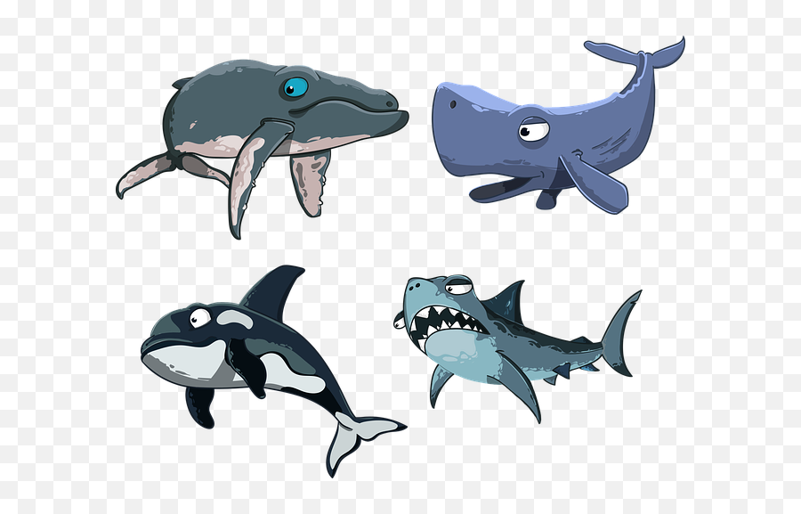 Free The Whale Whale Illustrations - Cartoon Sharks And Whales Emoji,Orca Emoji