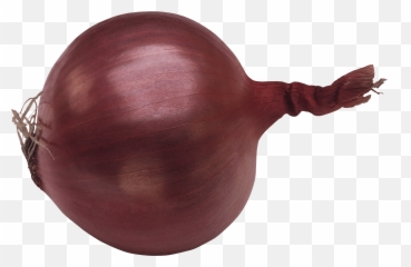 Single Onion Png Image Background - Cebolla Png Transparente Emoji,Emojis Cebolla
