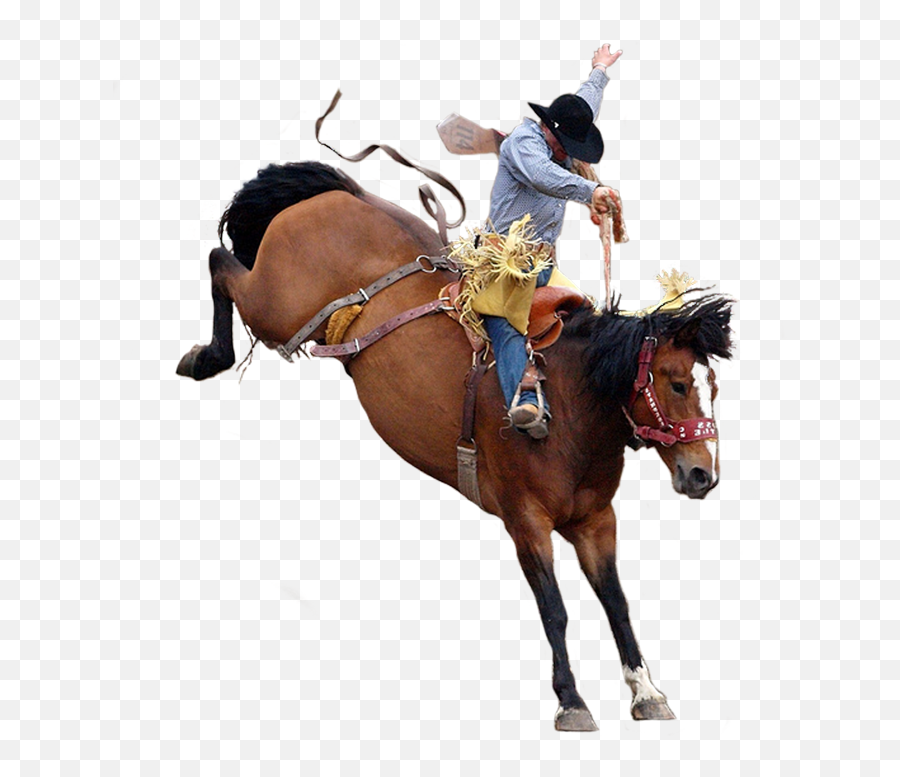 Cowboy Png Transparent Image - Cowboy Png Emoji,Sad Cowboy Emoji Transparennt