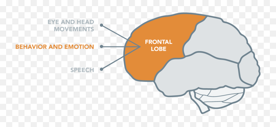 Provides Audience Matrix Best Practices - Vertical Emoji,Emotion Matrix