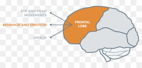 Provides Audience Matrix Best Practices - Vertical Emoji,Emotion Matrix