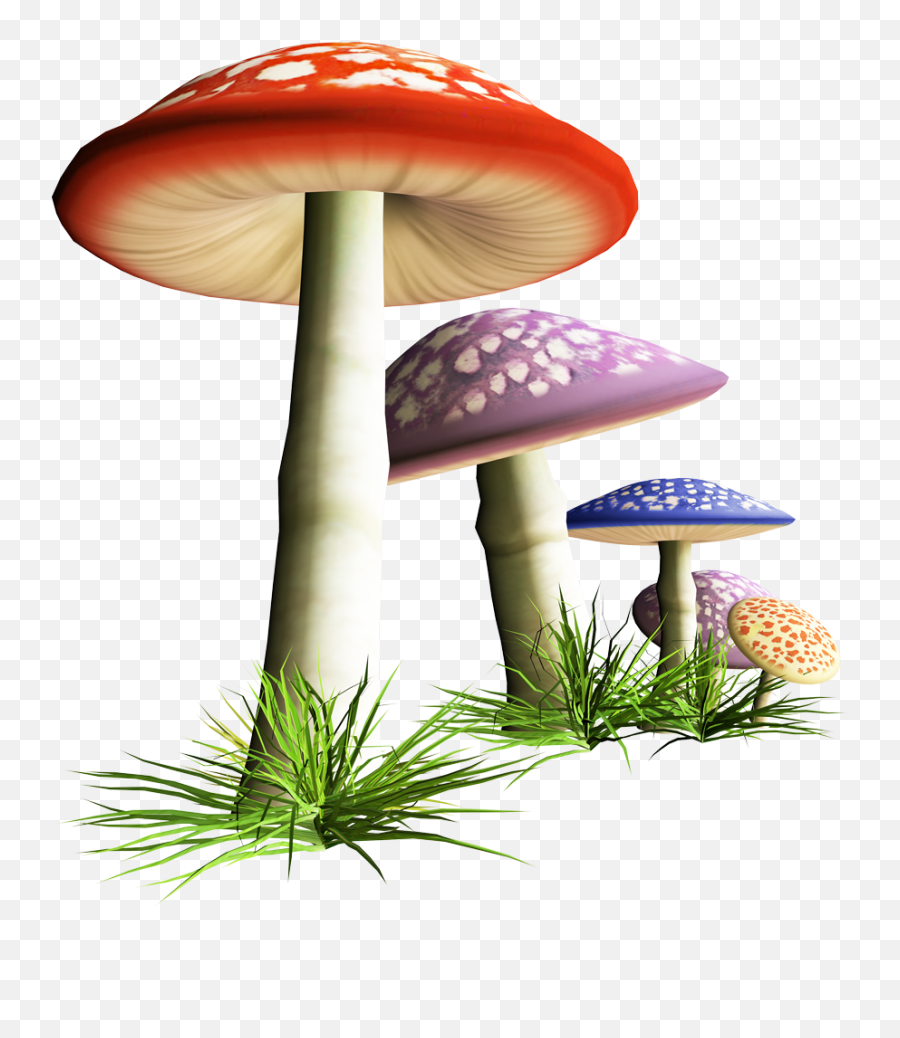 Download Fungus Mushroom Free Hq Image Clipart Png Free Emoji,Edible Cake Images Emoticons
