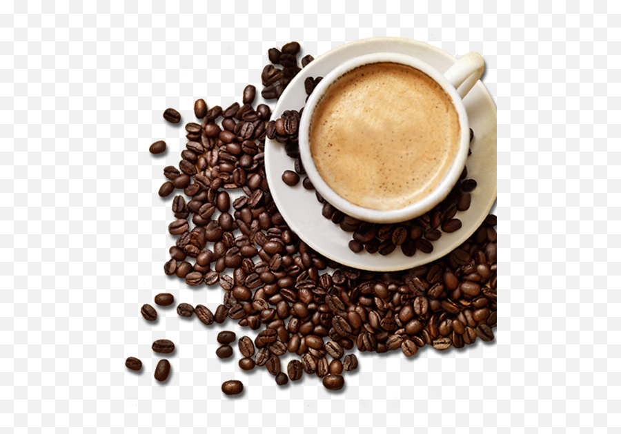 Coffee Bean Images Png - Coffee With Beans Png Emoji,Frog Coffee Mug Emoji