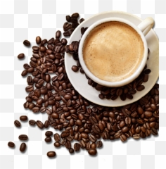Coffee Bean Images Png - Coffee With Beans Png Emoji,Frog Coffee Mug Emoji