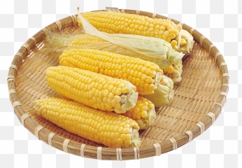 Mexican Clipart Corn On Cob Mexican Corn On Cob Transparent - Corn Png Emoji,Corn Emoji Png