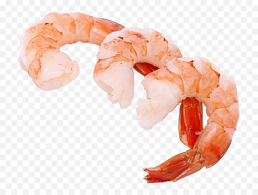 Shrimp Psd Official Psds - Shrimps Png Emoji,Shrimp Emoji