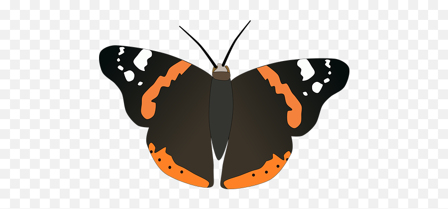 40 Free Black Butterfly U0026 Butterfly Vectors - Pixabay Red Admiral Emoji,Emotion Butterflies