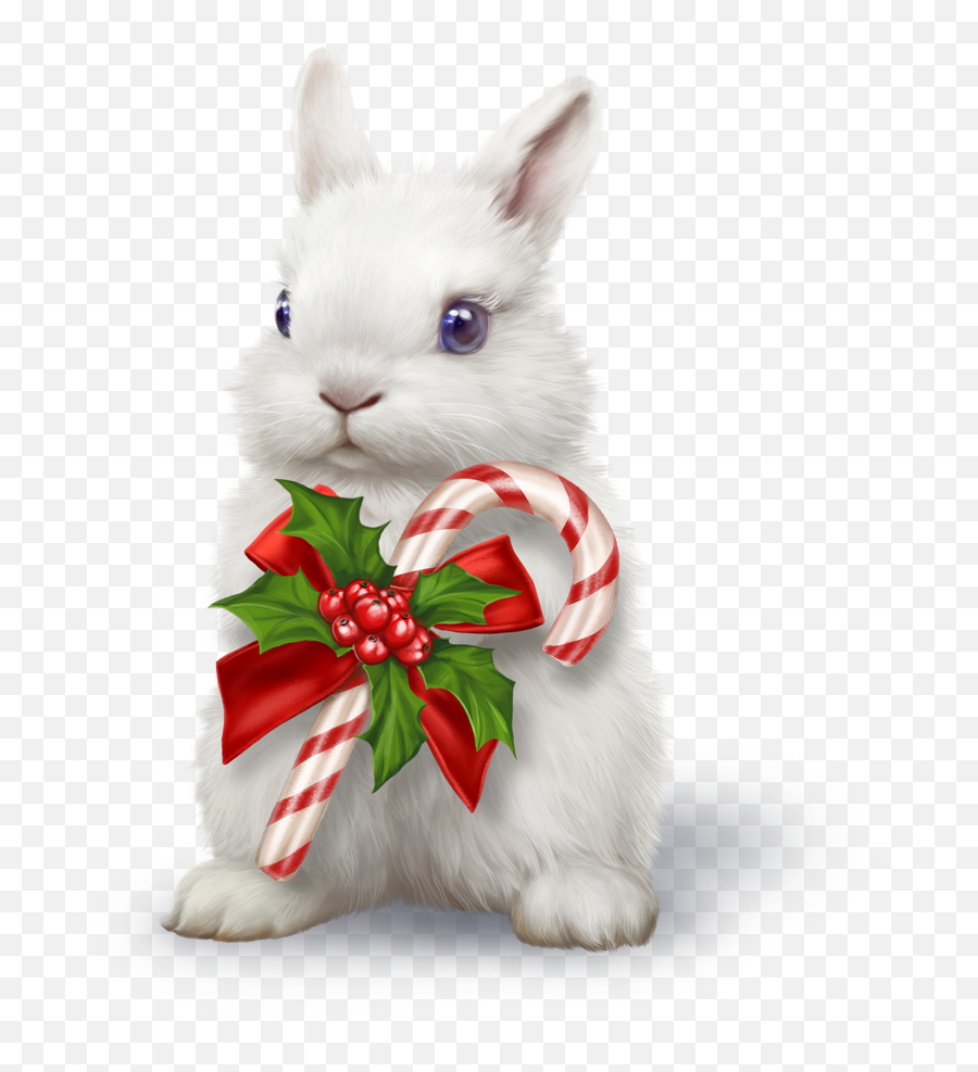 Christmas Animals - Psp Tube Winter Rabbit Emoji,Mouse Rabbit Squirrel Emoji