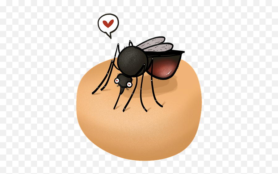 Free Photo Bug Parasite Malaria Nature Mosquito Insect - Max Emoji,Beetle Emoji