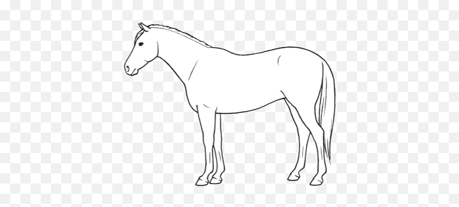 Code Of Practice For The Care And - Points Of The Horse Unlabeled Emoji,The Emotion Code Healing Horses