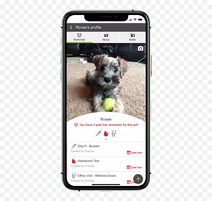 Whats New - Smartphone Emoji,Schnauzer Emoji