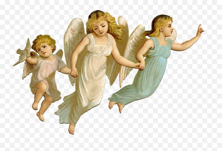 Baby Angel Png Pic Png Arts - Angel Transparent Png Emoji,Emoji Of Angels
