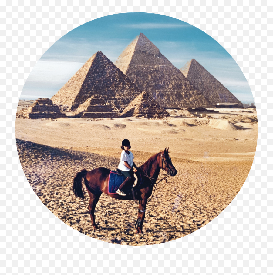 World On Horseback - Salah El Din Al Ayouby Citadel Emoji,Emotion Horse Rider Metaphor