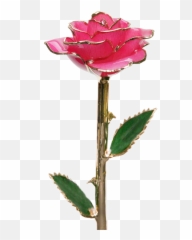 24k Gold Dipped Eternity Rose - 24k Gold Dipped Rose Emoji,Fushia Pink Emotion