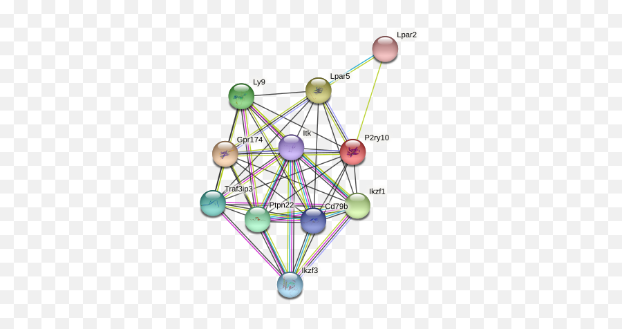 P2ry10 Protein Norvegicus - Dot Emoji,Emotion Regulation Feedforward Pathway P2ry10 Protein Norvegicus - Dot Emoji,Emotion Regulation Feedforward Pathway