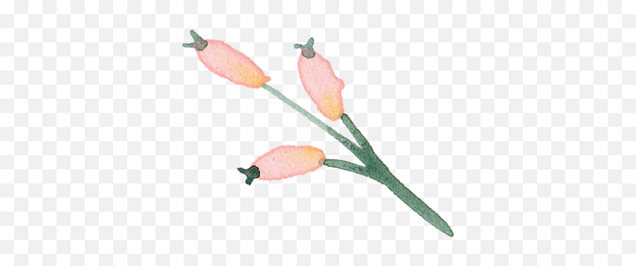 Stop Doubting Your Worth - Lady Tulip Emoji,Rejection Isn't Just An Emotion We Feel