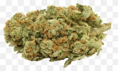 Kind Room Dispensary Colorado Craft Cannabis Emoji,Pot Weed Emoji