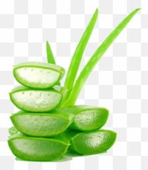 Download Aloe Photography Lotion Vera Juice Cream Creative Emoji,Emoticon Maquillage