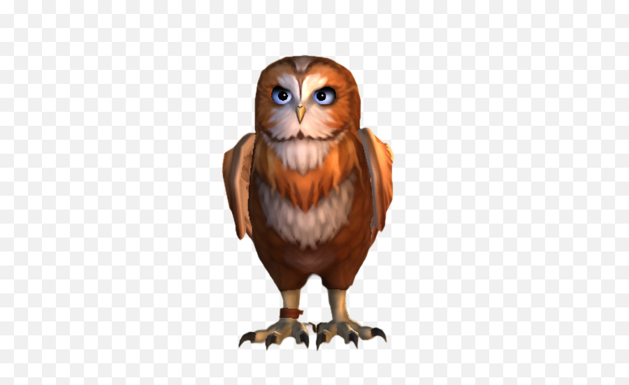 Owl Harry Potter Wiki Fandom Emoji,Owl Emoticon For Facebook