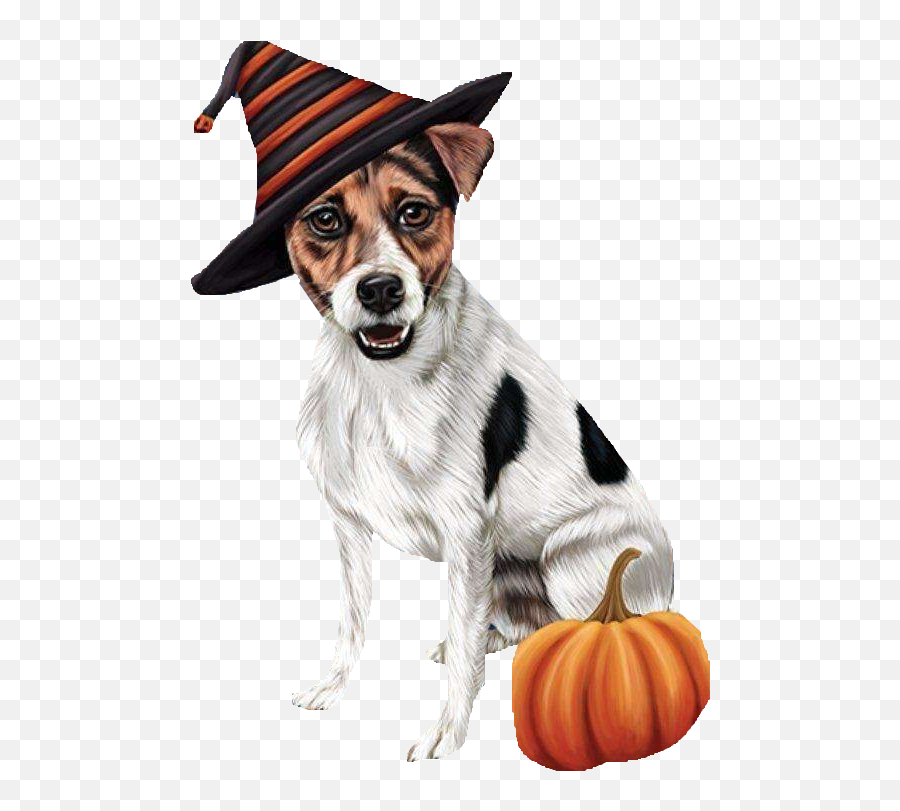 Pin By Jennifer Holmes On Jack Russell Terrier Clipart - Gourd Emoji,Scottie Dog Emoji