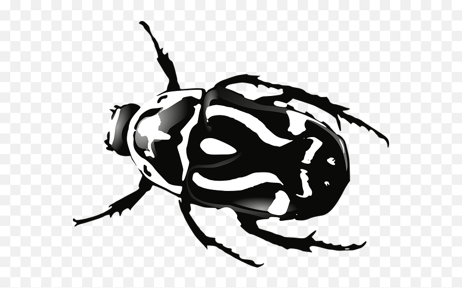 Beetle Bug Black White Insect - Beetles Clipart Emoji,Dead Bug Emoji
