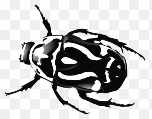 Beetle Bug Black White Insect - Beetles Clipart Emoji,Dead Bug Emoji