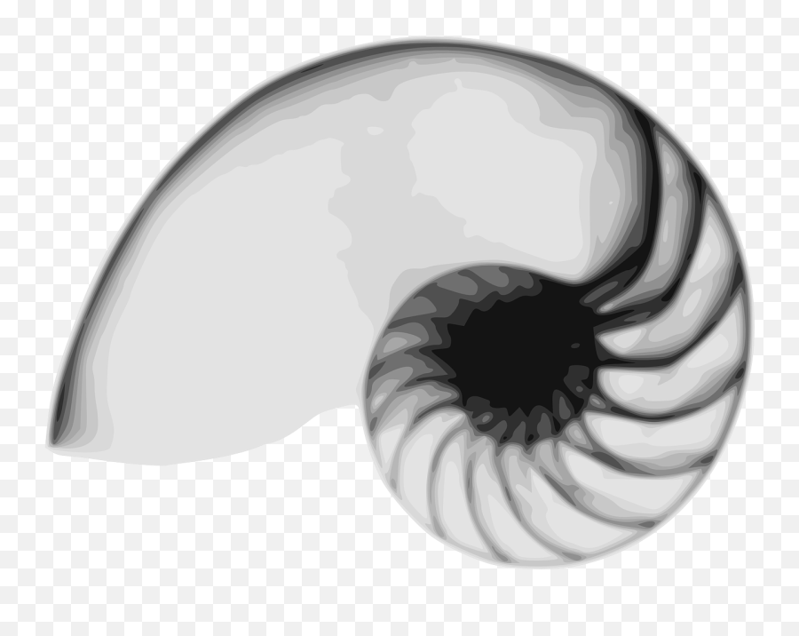 Two Poems - Conchas De Los Nautilus Png Emoji,Emoji Poems