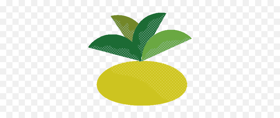 Top Bush Hairy Pussy Stickers For Android U0026 Ios Gfycat - Sweet Lemon Emoji,How To Ask Fkr Sex With Fruit Emoji