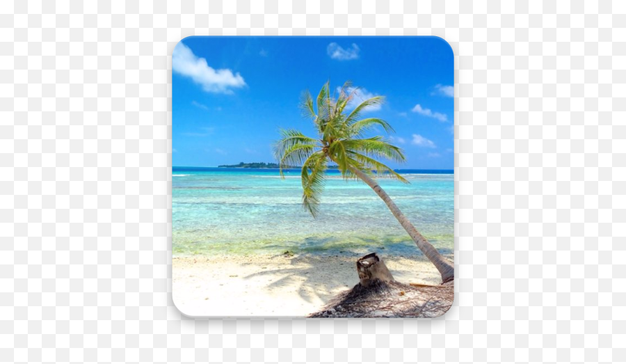 Nature Sounds - Relax And Sleep Apps On Google Play Coconut Emoji,Emojis Relaxing Nature