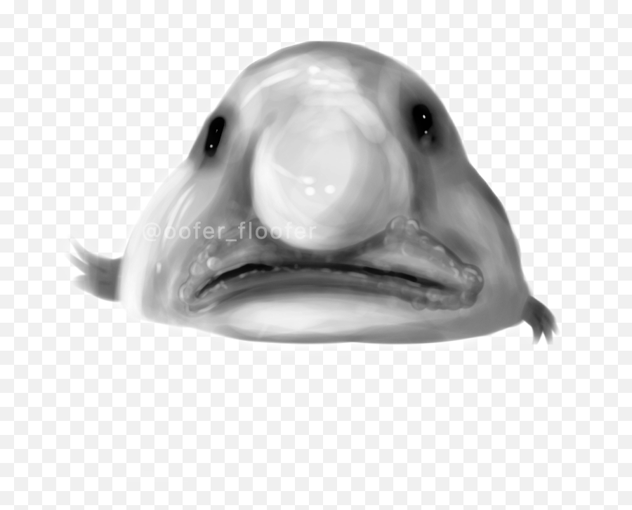 Blobfish Image - Ugly Emoji,Blobfish Emoji