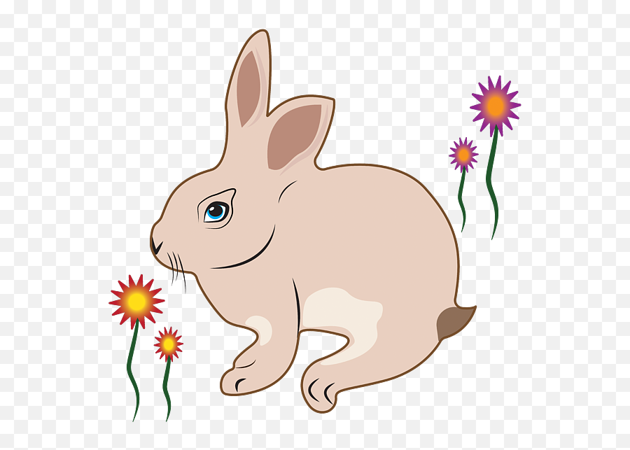 Bunny Rabbit Dam Creative Easter - Animal Figure Emoji,Visiable Emotions Of A Bunny
