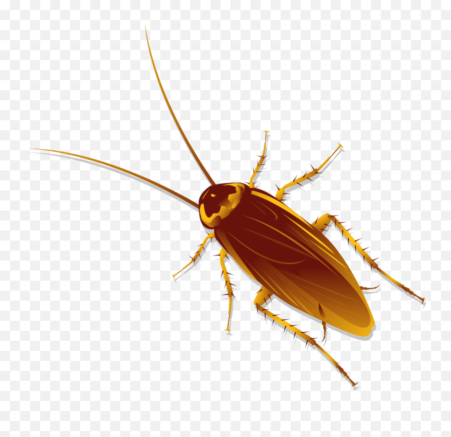 Rove Pest Control Emoji,Facebook Cockroach Emoticon