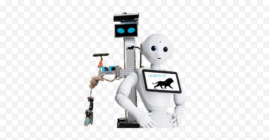 Robocup Lyontech - Softbank Pepper Robot Emoji,Humanoid Pepper Robot Emotions