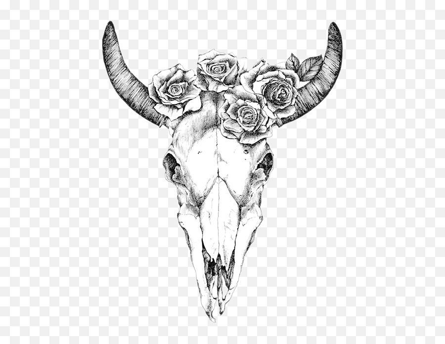 Texas Longhorn Drawing Human Skull Symbolism Bull - Skull Emoji,Drwaing Human Emotion