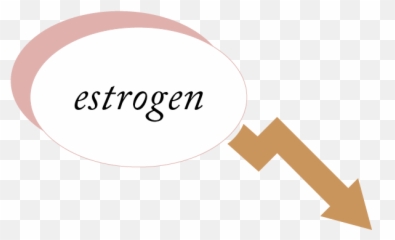 Menopause 101 U2013 Joylux Emoji,How Your Emotions Change The Shape Of Your Heart Youtube