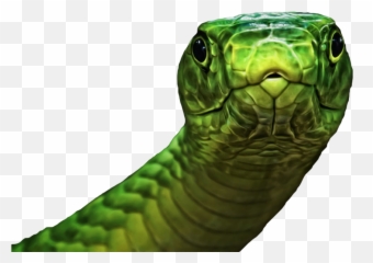 Snake - Green Psd Official Psds Emoji,Snake Emoji Pg