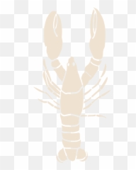 Diving The Gilis - Scallywags Emoji,Lobster Emojii