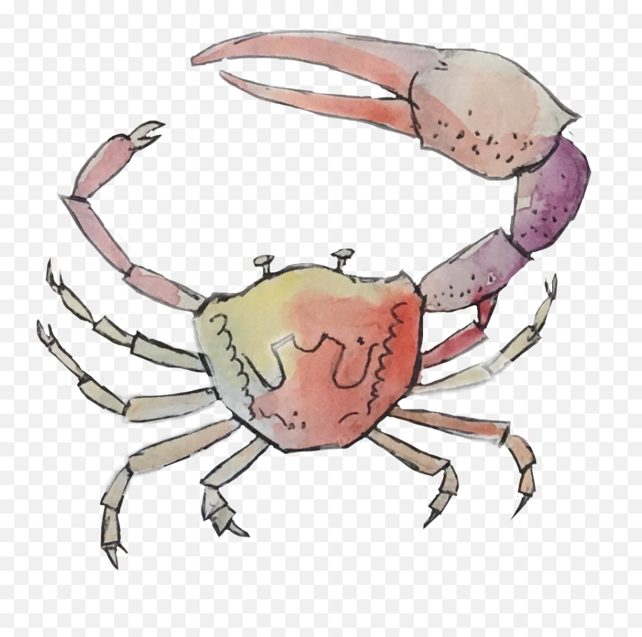 Art Crab Freetoedit Sticker - Dungeness Crab Emoji,Crab Emoji