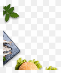 Keytchens - Golden Dunes Food Services Emoji,Domino's Ordering With Emojis